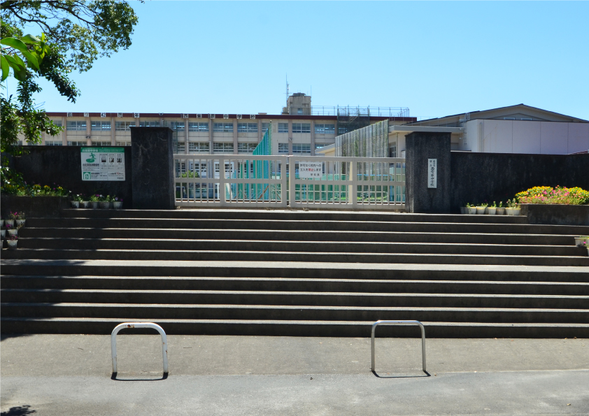 紫原3丁目 1区画分譲地