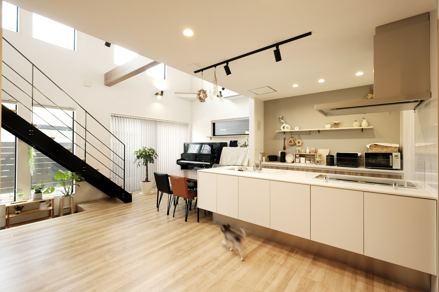 ペットと愉しむ暮らし